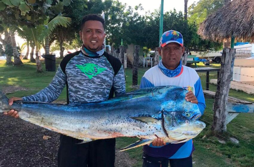  Pez Dorado Puede Mejorar Economía Pescadores Dominicanos