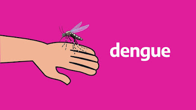  Revelan salud Pública Detecta 600 Casos Dengue Territorio Nacional